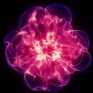 Meet your Posher, Jayna